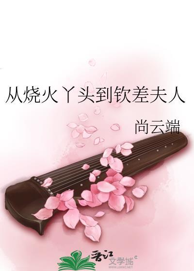 从烧火丫头到钦差夫人