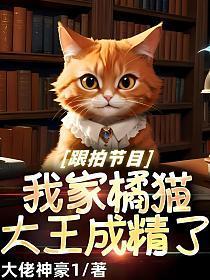 跟拍节目，我家橘猫大王成精了