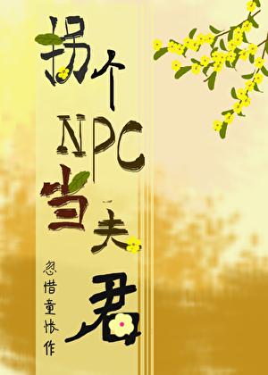 拐个NPC当夫君